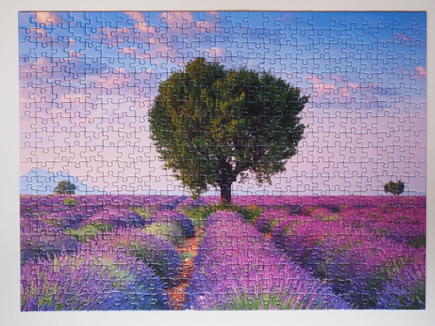 A single tree at the end of rows of purple lavender under a soft sky.